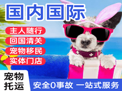 阿拉尔塔里木航空物流国际宠物托运 【国